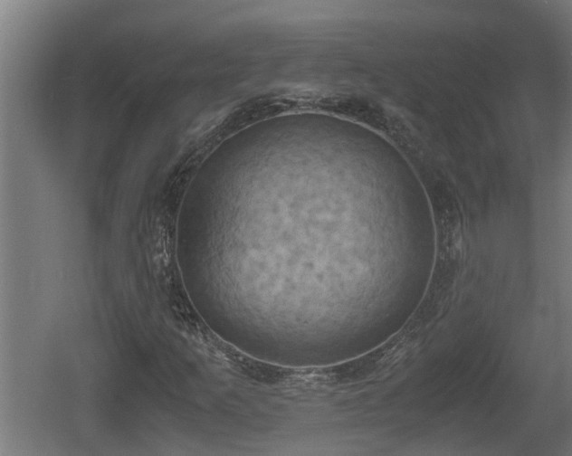 X0000060571253200511071010