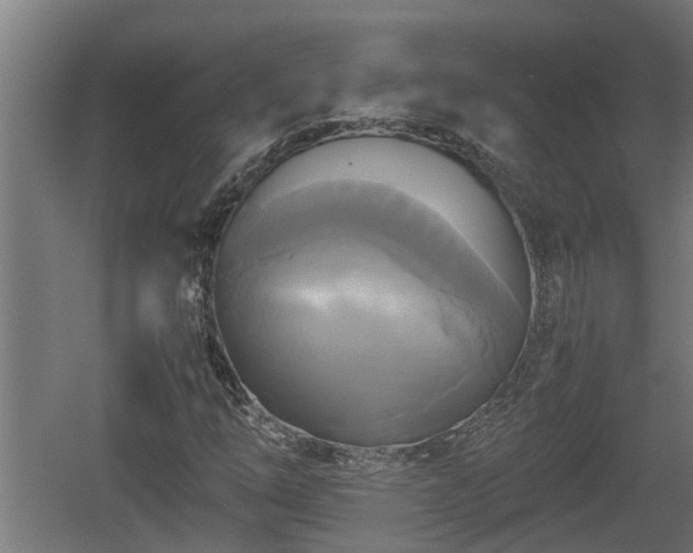 X0000060571254200511071010