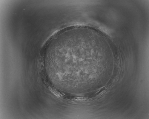 X0000060571255200511071010