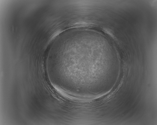 X0000060571259200511071010