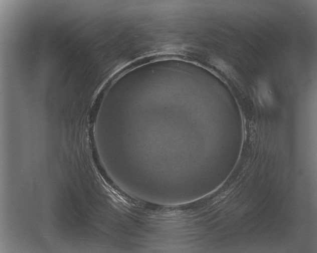 X0000060571260200511071010