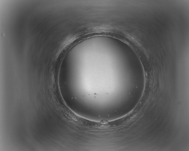 X0000060571261200511071010