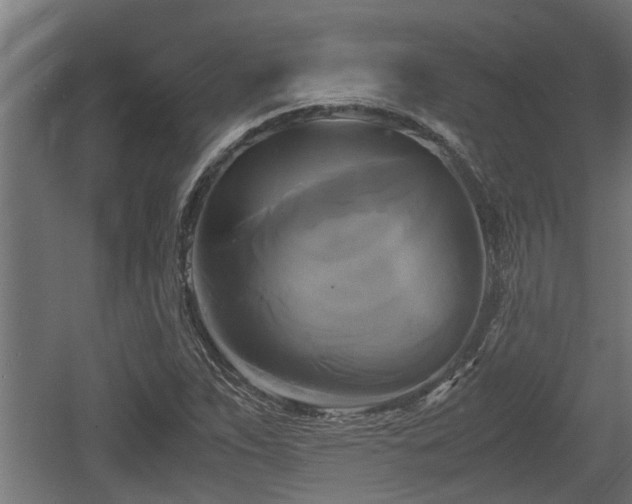 X0000060571263200511071010