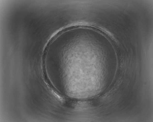 X0000060571264200511071010