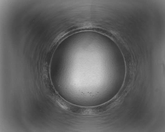 X0000060571265200511071010