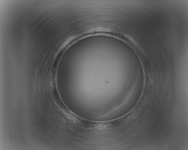 X0000060571266200511071010