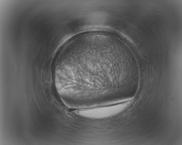 X0000060571267200511071010