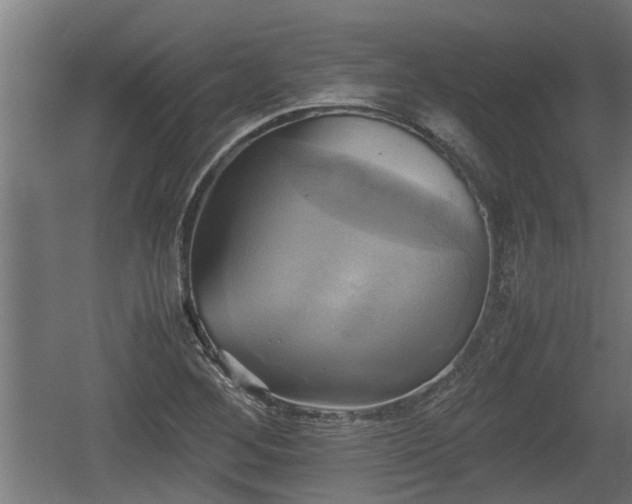 X0000060571268200511071010