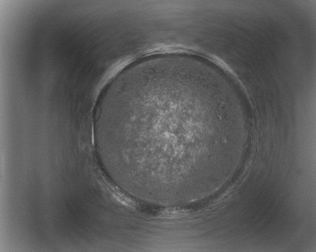 X0000060571269200511071010