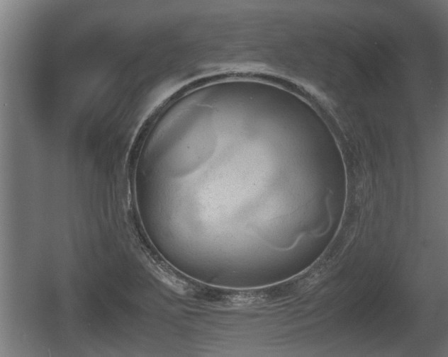 X0000060571271200511071010