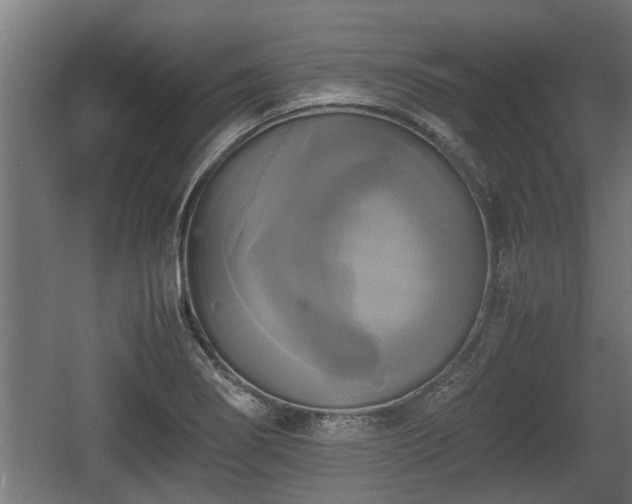 X0000060571274200511071010