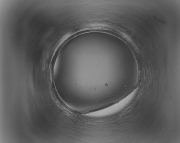 X0000060571275200511071010