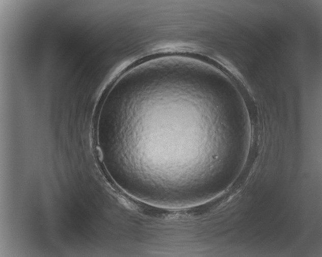 X0000060571277200511071009