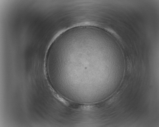 X0000060571278200511071009