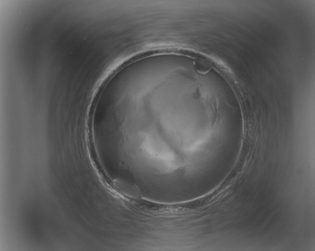 X0000060571279200511071009