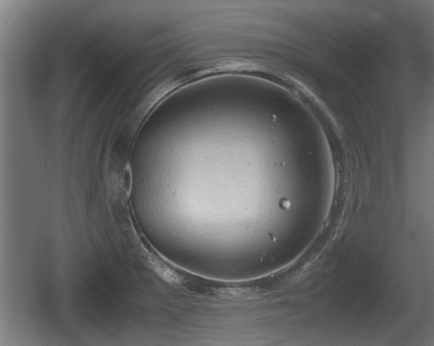 X0000060571281200511071009