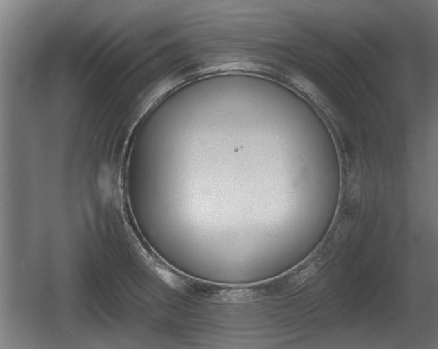 X0000060571282200511071009