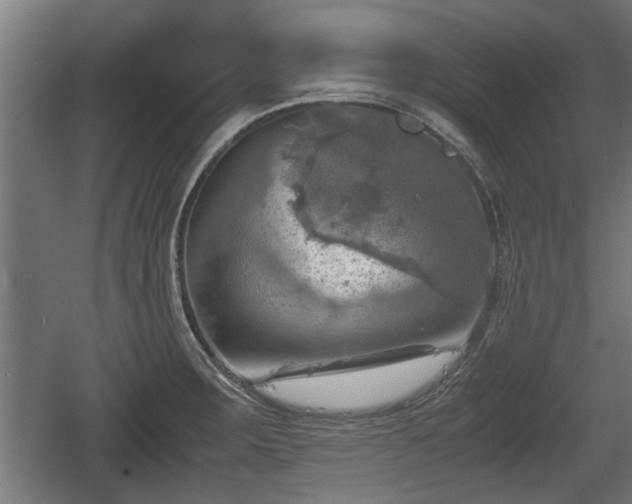 X0000060571283200511071009