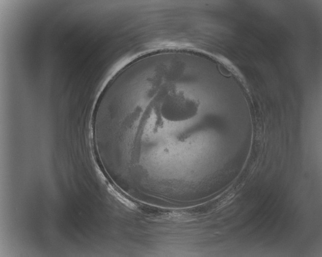 X0000060571287200511071009