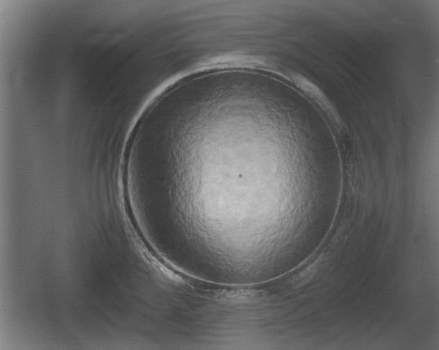 X0000060571288200511071009