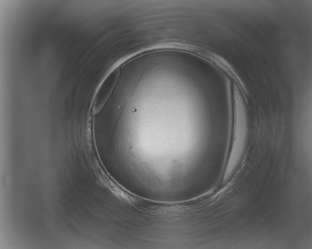 X0000060571292200511071009