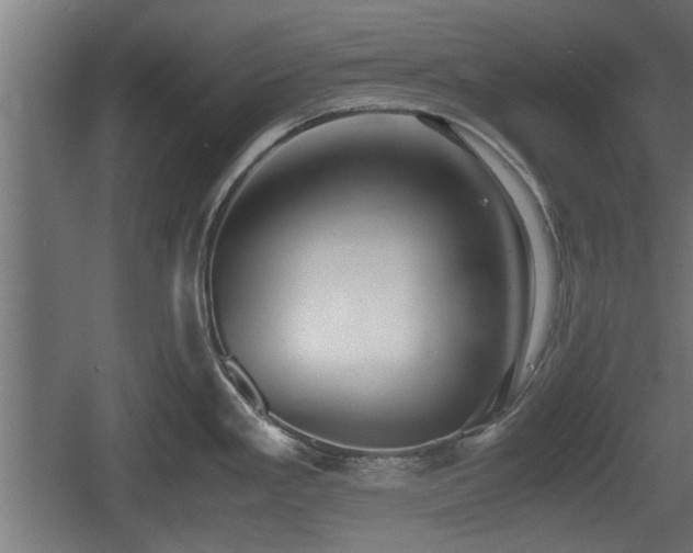 X0000060571293200511071009