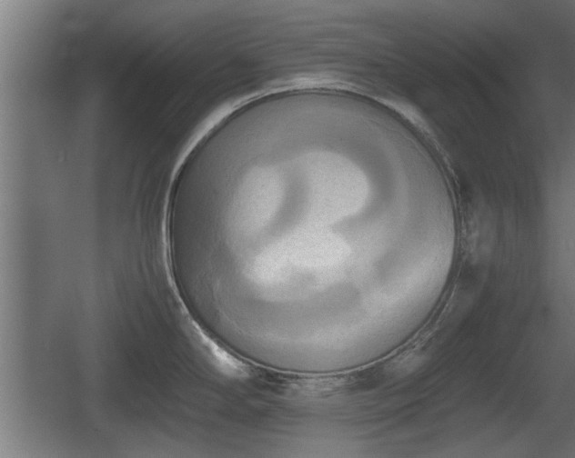 X0000060571294200511071009