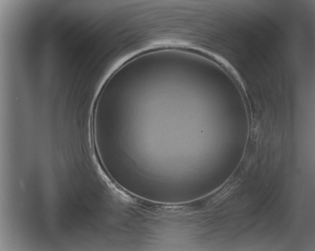 X0000060571295200511071009