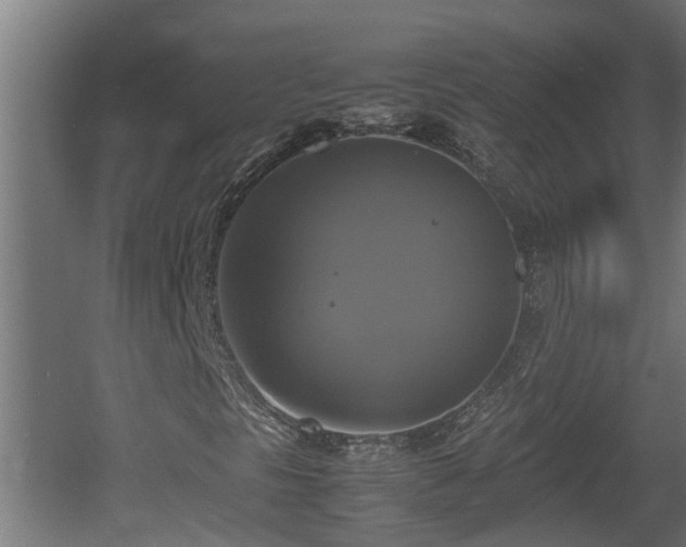 X0000060571297200511071008