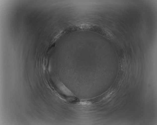 X0000060571298200511071008