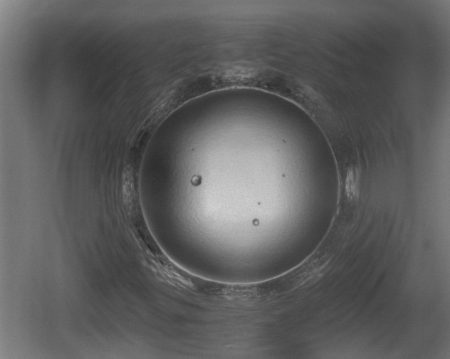 X0000060571299200511071008