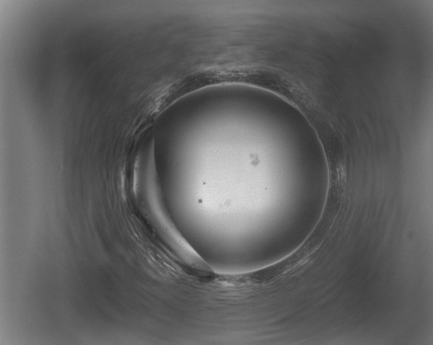 X0000060571300200511071008