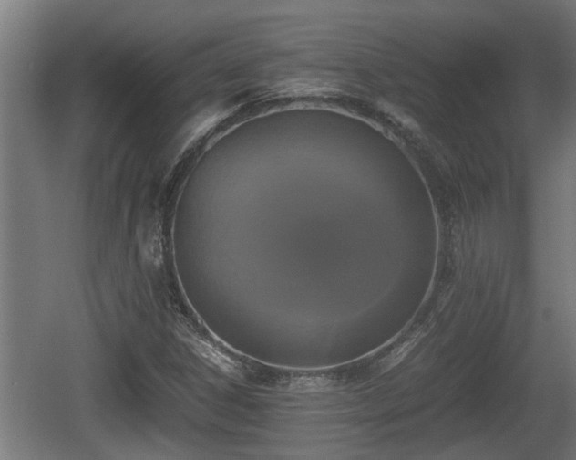 X0000060571306200511071008