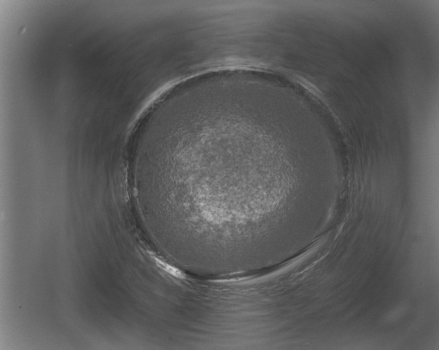 X0000060571310200511071008