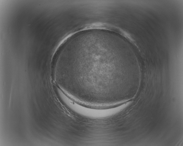 X0000060571312200511071008