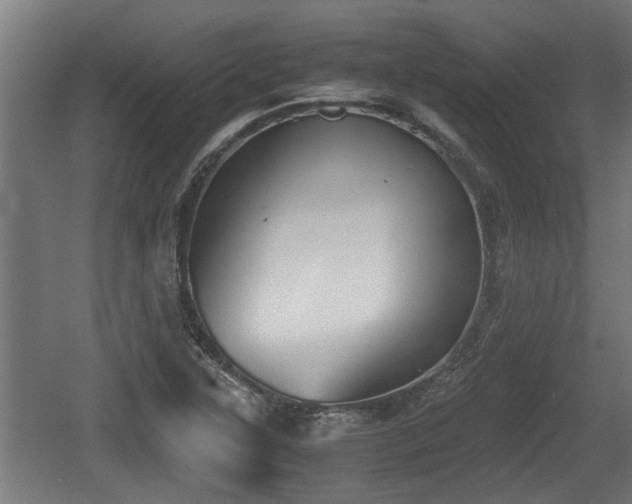 X0000060571315200511071008