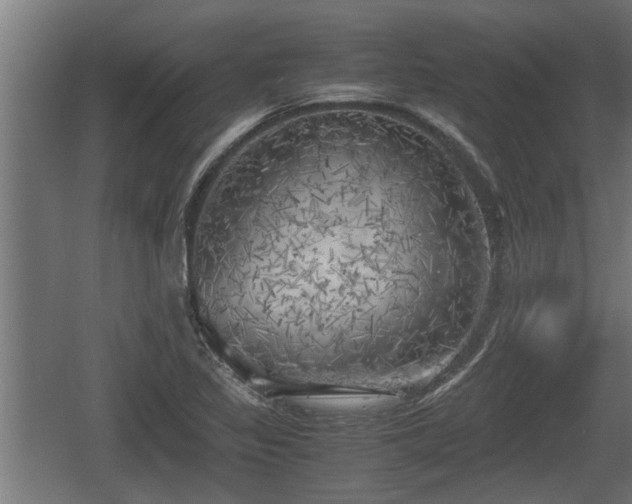 X0000060571317200511071008