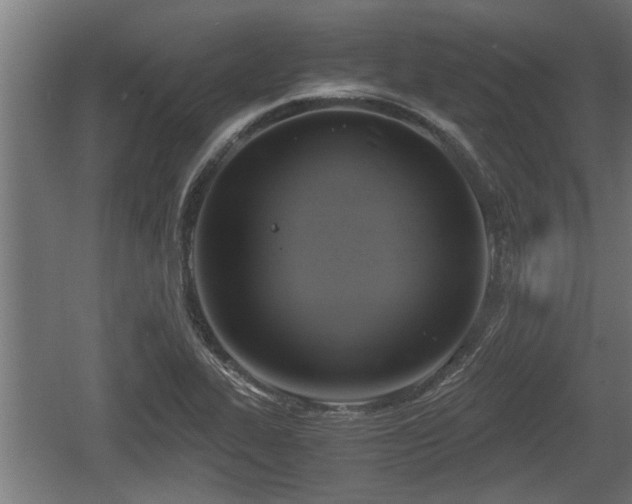 X0000060571319200511071008