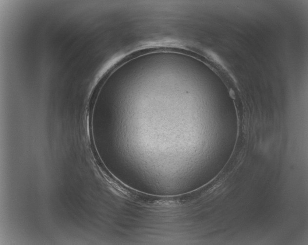 X0000060571320200511071008