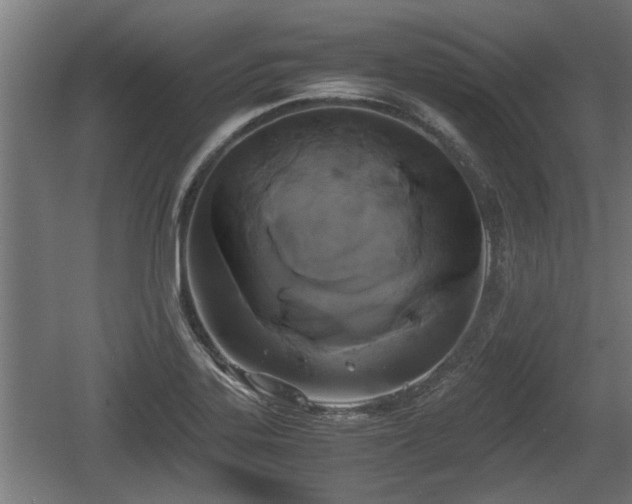 X0000060571323200511071009