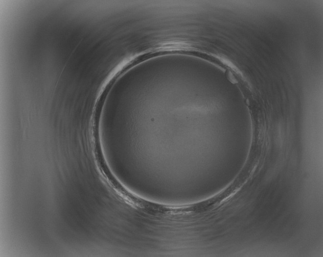 X0000060571325200511071009