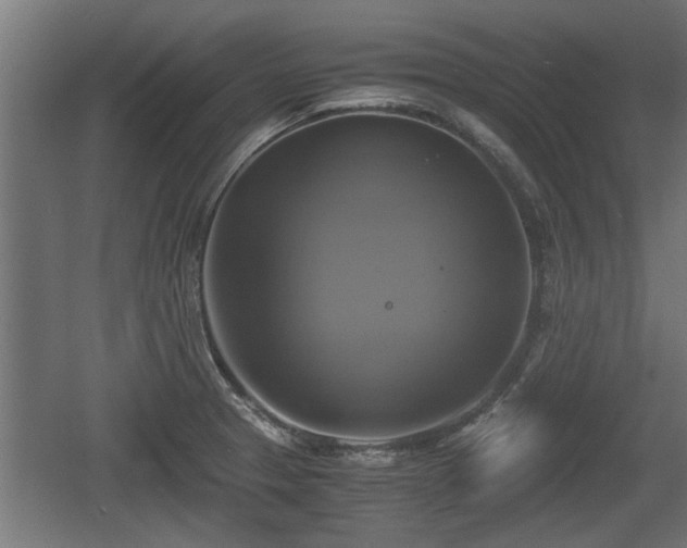 X0000060571329200511071009