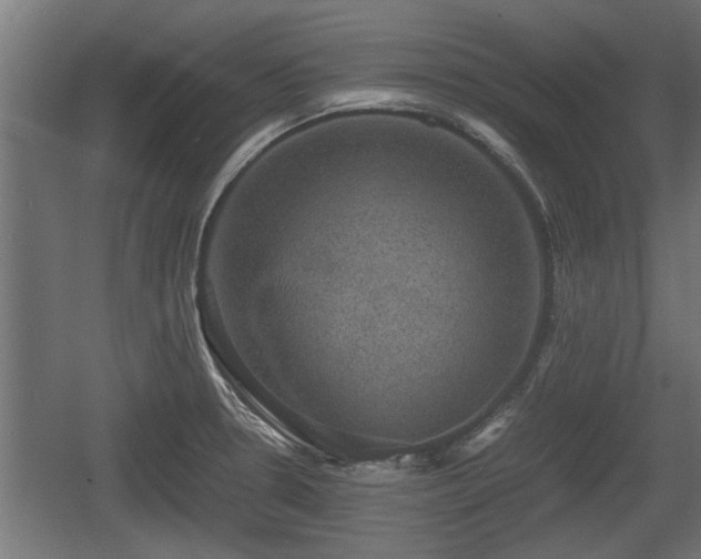 X0000060571330200511071009