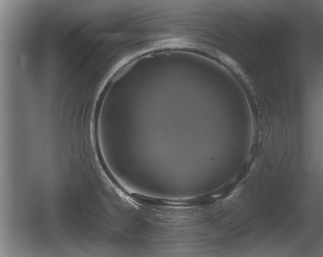 X0000060571334200511071009