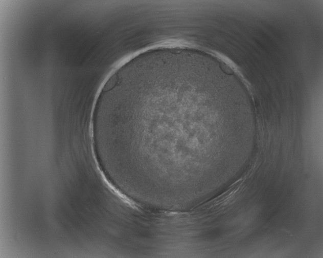 X0000060571335200511071009