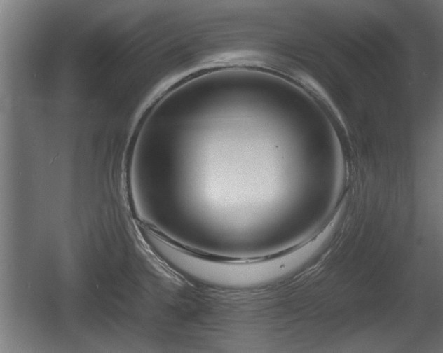 X0000060571336200511071009