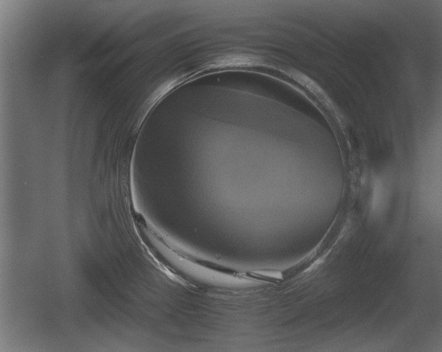 X0000060571337200511071009