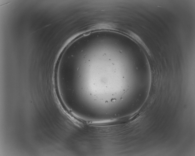 X0000060571339200511071009