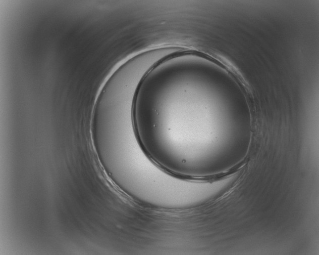 X0000060571340200511071009