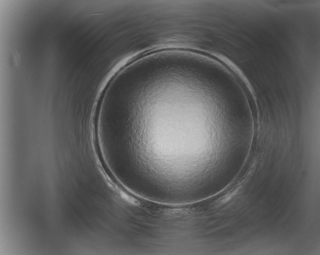 X0000060571341200511071009